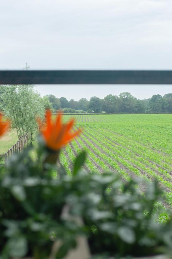 Hermans Huisje: Het Mooiste Uitzicht Van Twente? Хааксберген Экстерьер фото